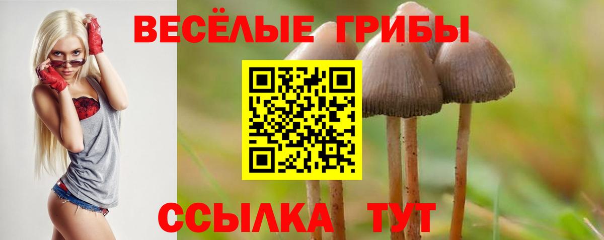 Галлюциногенные грибы мицелий Еманжелинск